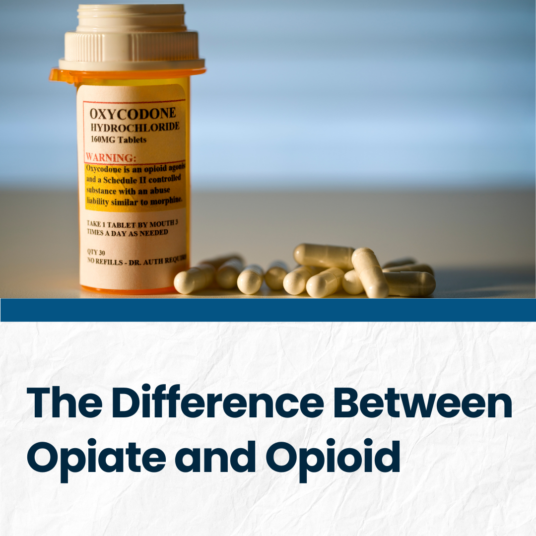 A picture for Procom's blog post called "Difference Between Opiate and Opioid." Features a picture of a prescription pill bottle.